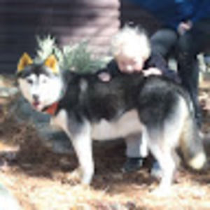 Meet your Posher, Camd5880